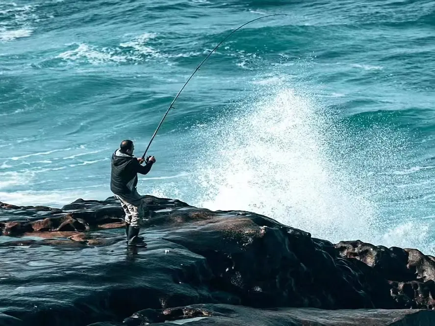 Are insulated cooler box the ultimate solution for all your cooling needs?