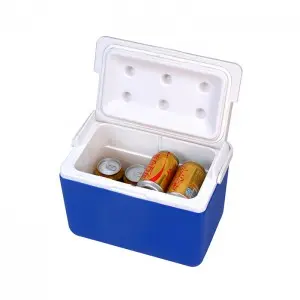8L KOOLYOUNG Medical Transport Thermal Insulin Ice Cooler Box