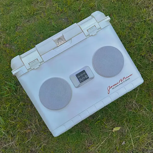 Introducing Our New Product: Cooler Box with Speaker