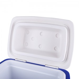 KY605 12L Insulation Plastic Portable Ice Storage Cooler Box Milk Cooler Box