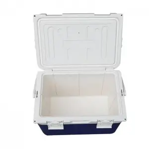 OEM KY112A 12L Fashion Beer Wine Ice Chest Portable Cooler Box