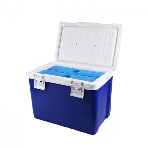 Quality certification 18L insulin vaccine transport Portable Fresh-Keeping small retro cooler box
