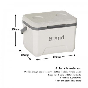 KOOLYOUNG  2024 hot sale 6L small portable insulin camping insulated beer cooler box for beach