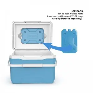 KOOLYOUNG  New Arrival 13L custom-made logo pp insulin small capacity portable commercial cooler box with hard handle for camping travel