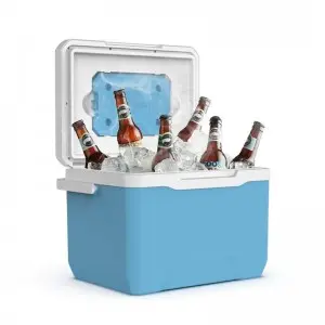 KOOLYOUNG  New Arrival 13L custom-made logo pp insulin small capacity portable commercial cooler box with hard handle for camping travel