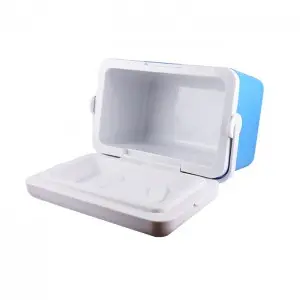 KY109 9L Insulated Car Medical Cold Chain Cooler Box Fridge