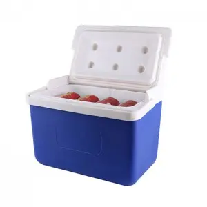 8L KOOLYOUNG Medical Transport Thermal Insulin Ice Cooler Box