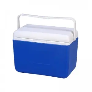 8L KOOLYOUNG Medical Transport Thermal Insulin Ice Cooler Box