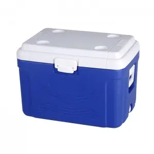 KY601 60L Outdoor Camping Fishing Vegetable Fruits Cans Wine Cooler Box
