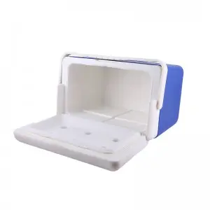 8L KOOLYOUNG Medical Transport Thermal Insulin Ice Cooler Box