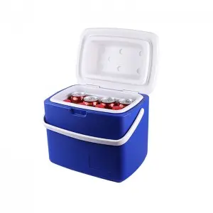 KY605 12L Insulation Plastic Portable Ice Storage Cooler Box Milk Cooler Box